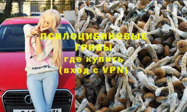 стаф Армянск