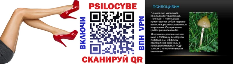 Псилоцибиновые грибы Psilocybe  Сольцы 